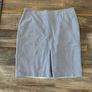 Talbots Womens Size 14 Skirt Blue White Pinstripe Lined Knee Length With Pockets